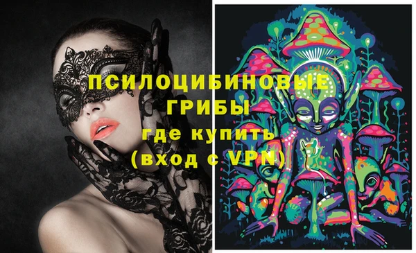 apvp Горнозаводск