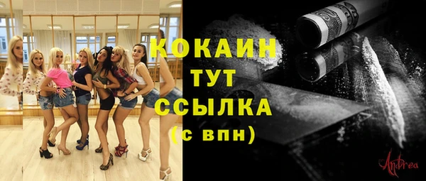 бутират Горняк
